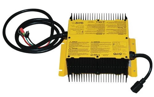 Delta Q Charger 48V 12A