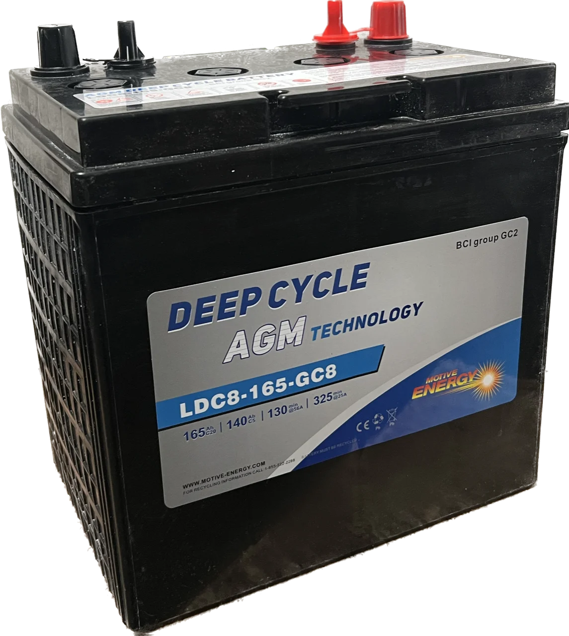 Leoch LDC8v-165