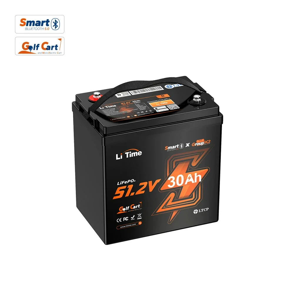 LiTime 48V 30Ah GC2 Lithium Battery for Golf Cart & Lawn Mower Bluetooth