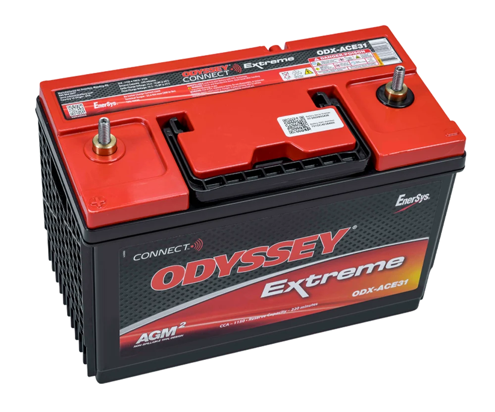 ODX-ACE31